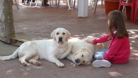 TERAPIAS ASISTIDAS CON CABALLOS Y PERROS